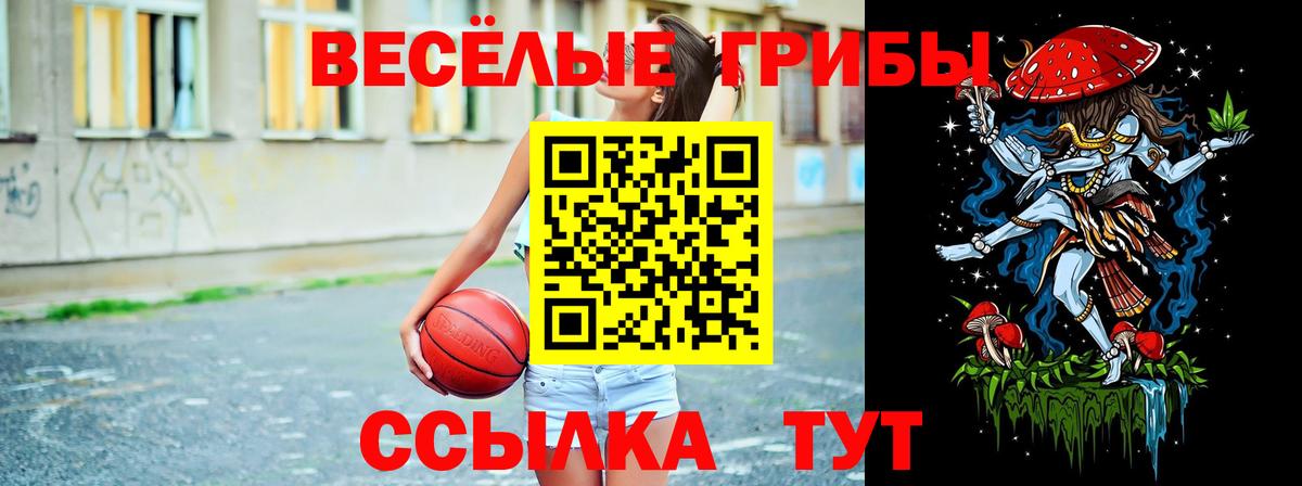 Галлюциногенные грибы GOLDEN TEACHER  Вход с VPN  Орехово-Зуево 