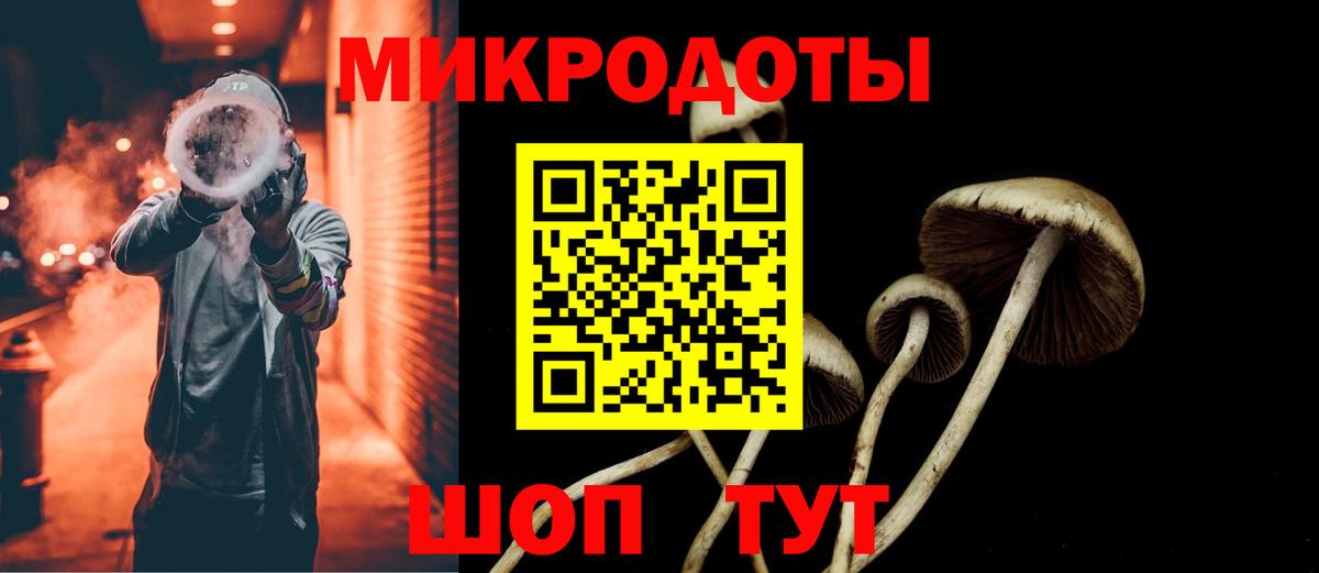 Галлюциногенные грибы Magic Shrooms  продажа наркотиков  Вход с VPN  Орехово-Зуево  Псилоцибиновые грибы Psilocybine cubensis 